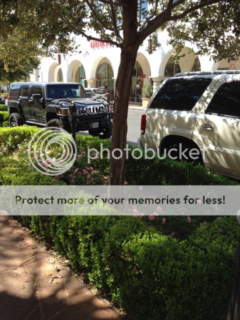 photo IMG_1768_zps63fe6916.jpg